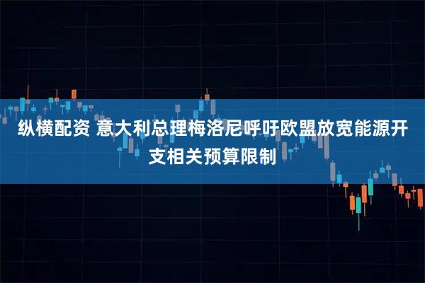 纵横配资 意大利总理梅洛尼呼吁欧盟放宽能源开支相关预算限制