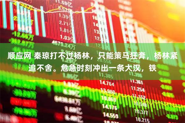 顺应网 秦琼打不过杨林，只能策马狂奔，杨林紧追不舍。危急时刻冲出一条大汉，铁